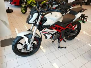 BENELLI BN BN 125 NAKED (rif. 15752327), Anno 2023 - main picture