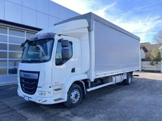 DAF Other LF 45.220 (rif. 8856409), Anno 2007, KM 234000 - main picture