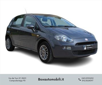 Fiat Punto 1.2 8v 5 Porte Pop, Anno 2012, KM 75000 - main picture