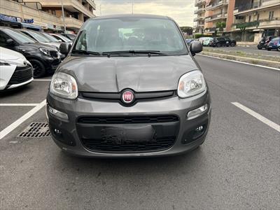Fiat Panda 1.2 Lounge 2019, Anno 2019, KM 25000 - main picture