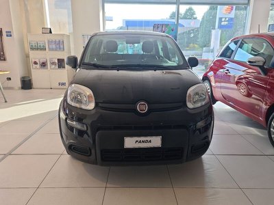 FIAT Panda 1.0 FireFly S&S Hybrid, Anno 2024, KM 100 - main picture