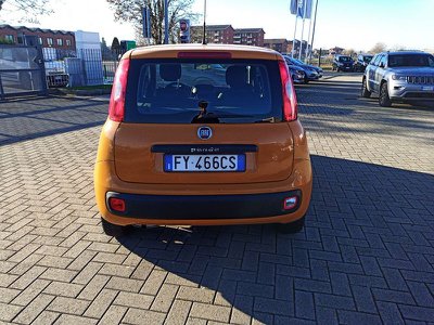 FIAT Panda 1.0 FireFly S&S Hybrid, Anno 2022, KM 27800 - main picture