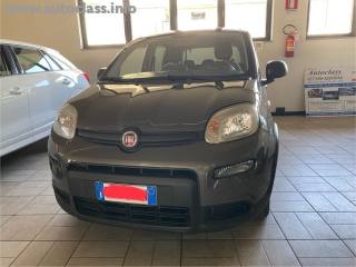 FIAT Panda 1.0 FireFly S&S Hybrid (rif. 20575639), Anno 2023 - main picture