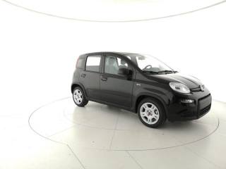 FIAT Panda Hobby 1100 37kW 50PS 1108ccm (rif. 19912267), Anno 20 - main picture