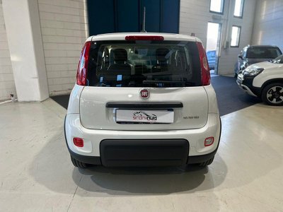 FIAT Panda 1.0 FireFly S&S Hybrid, Anno 2023, KM 10 - main picture