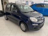 FIAT Panda 1.0 FireFly S&S Hybrid (rif. 20083392), Anno 2023 - main picture