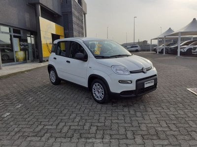 FIAT Panda 1.0 FireFly S&S Hybrid, Anno 2024, KM 5 - main picture