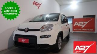 FIAT Panda 1.0 FireFly S&S Hybrid (rif. 20549035), Anno 2024 - main picture