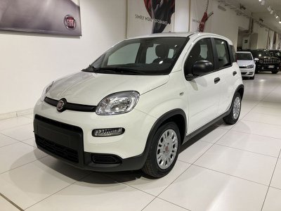 FIAT Panda 0.9 TwinAir Turbo Natural Power Easy, Anno 2019, KM 5 - main picture