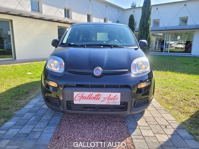 FIAT Panda 1.0 FireFly S&S Hybrid City Life, Anno 2022, KM 22300 - main picture