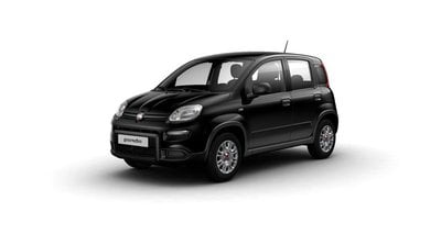 FIAT Panda 1.0 FireFly S&S Hybrid Sport+Touch 7 (rif. 197485 - main picture