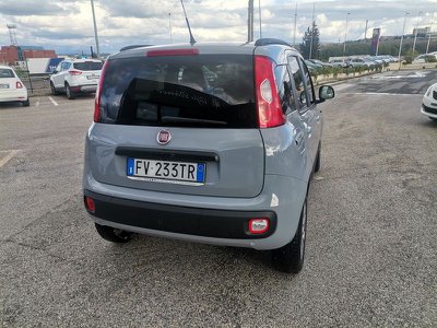 FIAT Panda 1.0 FireFly S&S Hybrid City Life, Anno 2023, KM 1 - main picture