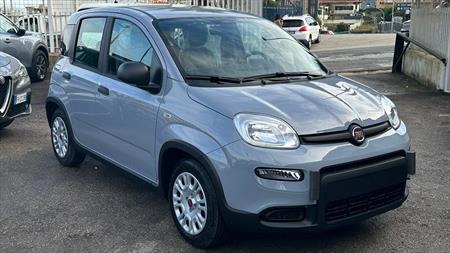 FIAT Panda 1.0 FireFly S&S Hybrid (rif. 18327851), Anno 202 - main picture