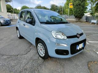 FIAT Panda 1.0 FireFly S&S Hybrid (rif. 19166564), Anno 2023 - main picture