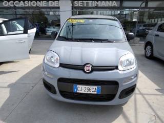 FIAT Panda 1.0 FireFly S&S Hybrid (rif. 20125742), Anno 2022 - main picture