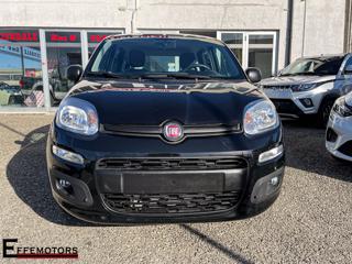 FIAT Panda 3ª serie 1.0 FireFly S&S Hybrid City Life, Anno 2021, - main picture