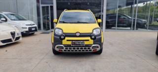 FIAT Panda 1.0 FireFly S&S Hybrid (rif. 20691557), Anno 2022 - main picture