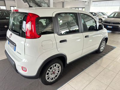 FIAT Panda 1.0 FireFly S&S Hybrid, Anno 2023, KM 16337 - main picture
