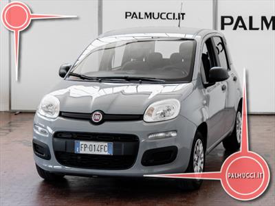 Fiat Panda Easy 1.2 31/12/2019 Km 0, Anno 2019 - main picture