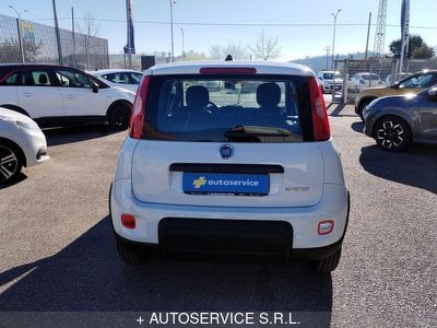 FIAT Panda 1.0 FireFly S&S Hybrid (rif. 20575639), Anno 2023 - main picture