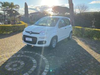 FIAT Panda 1.0 FireFly S&S Hybrid Easy (rif. 15041372), Anno - main picture