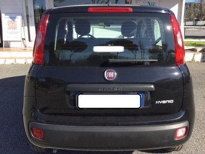 FIAT Panda 1.0 FireFly S&S Hybrid, Anno 2024, KM 1 - main picture