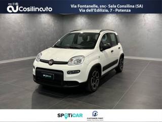 FIAT Panda 1.0 FireFly S&S Hybrid (rif. 20473059), Anno 2024 - main picture