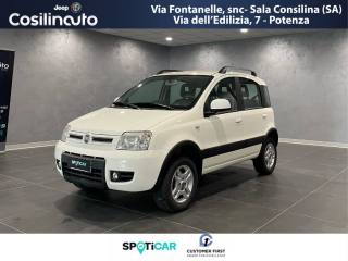 FIAT Panda 1.0 FireFly S&S Hybrid (rif. 18177758), Anno 2022 - main picture