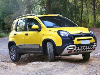 FIAT Panda 1.0 FireFly S&S Hybrid (rif. 20473059), Anno 2024 - main picture