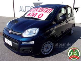FIAT Panda 1.0 FireFly S&S Hybrid (rif. 15802664), Anno 2021 - main picture