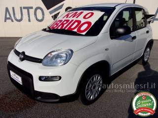 FIAT Panda 1.0 FireFly S&S Hybrid (rif. 15802664), Anno 2021 - main picture