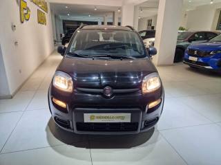 FIAT Panda 1.0 FireFly S&S Hybrid (rif. 20388487), Anno 2024 - main picture