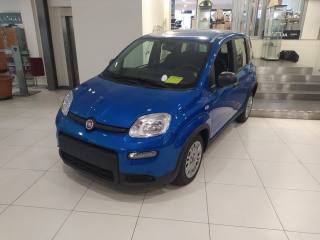 FIAT Panda 1.0 FireFly S&S Hybrid (rif. 20346883), Anno 2023 - main picture