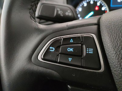 Ford Fiesta 1.0 EcoBoost 100 CV 5 porte Titanium, Anno 2017, KM - main picture
