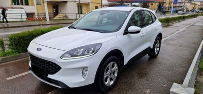 FORD Kuga 1.5 TDCI 120 CV S&S 2WD Powershift Business (rif. - main picture