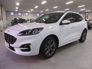 FORD Kuga 2.0 TDCI 120 CV S&S 2WD Plus (rif. 20437988), Anno - main picture