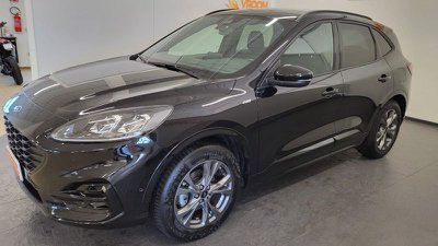Ford Kuga Ford kuga 1.5 EcoBlue 120 CV aut. 2WD ST Line X, Anno - main picture