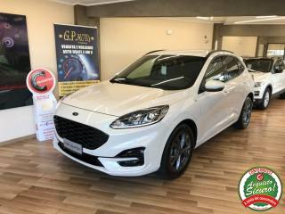 FORD Kuga 2.0 TDCI 120 CV S&S 2WD Powershift ST Line (rif. 2 - main picture