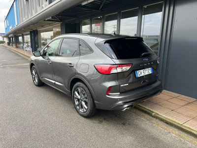 FORD Kuga 1.5 TDCI 120 CV S&S 2WD Powershift Business (rif. - main picture