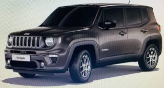 Jeep Renegade 1.0 T3 Limited, Anno 2021, KM 61389 - main picture
