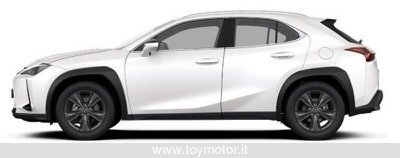 Hyundai Kona 1ªs. (2017 23) HEV 1.6 DCT XPrime, Anno 2020, KM 73 - main picture