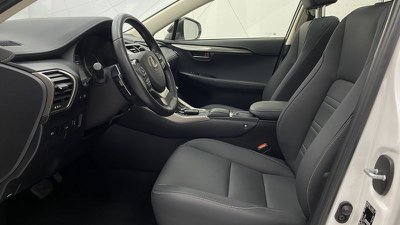 Lexus NX I 2018 2.5 Executive 4wd cvt, Anno 2019, KM 69361 - main picture